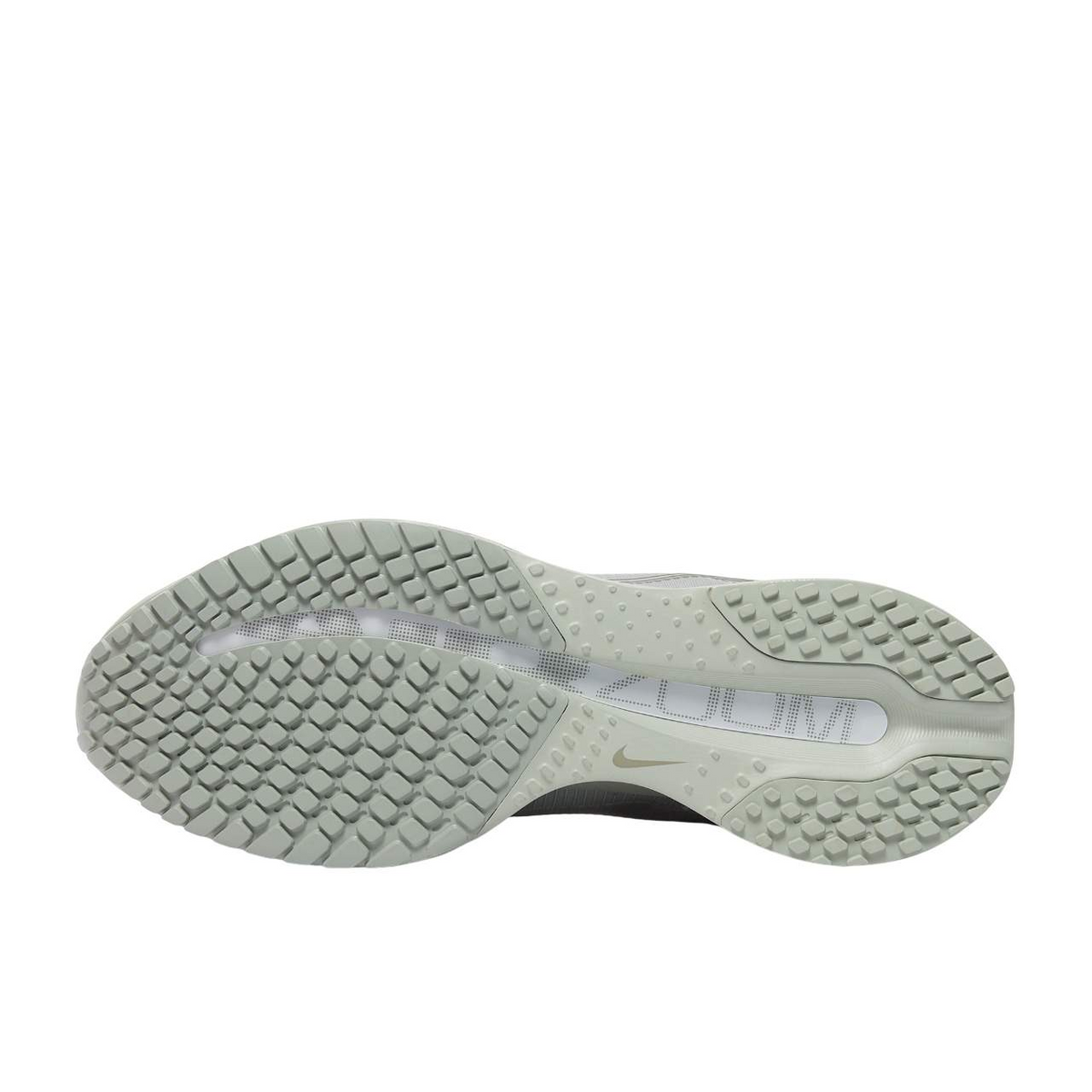 Nike Pegasus Premium Jade Horizon/Light Army