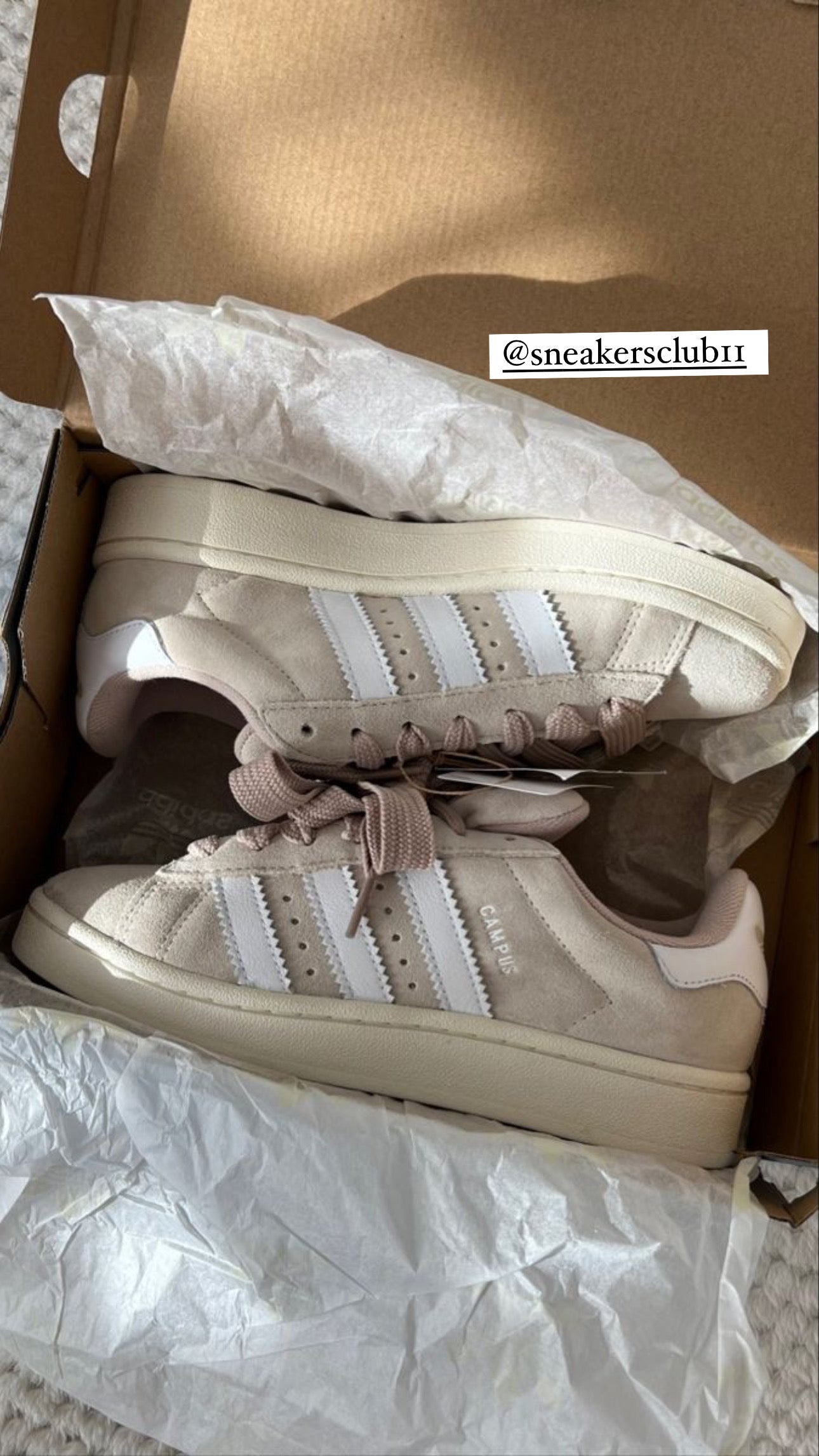 Adidas campus wonder white - תמונה 5