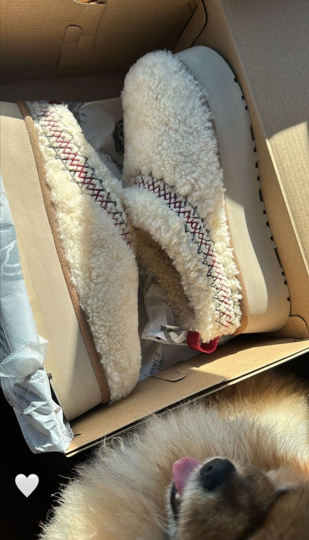 Ugg Tazz Platform Slippers sheep - תמונה 4