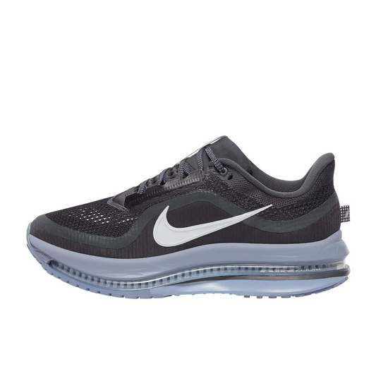 Nike Pegasus Premium Anthracite/Pure Platinum