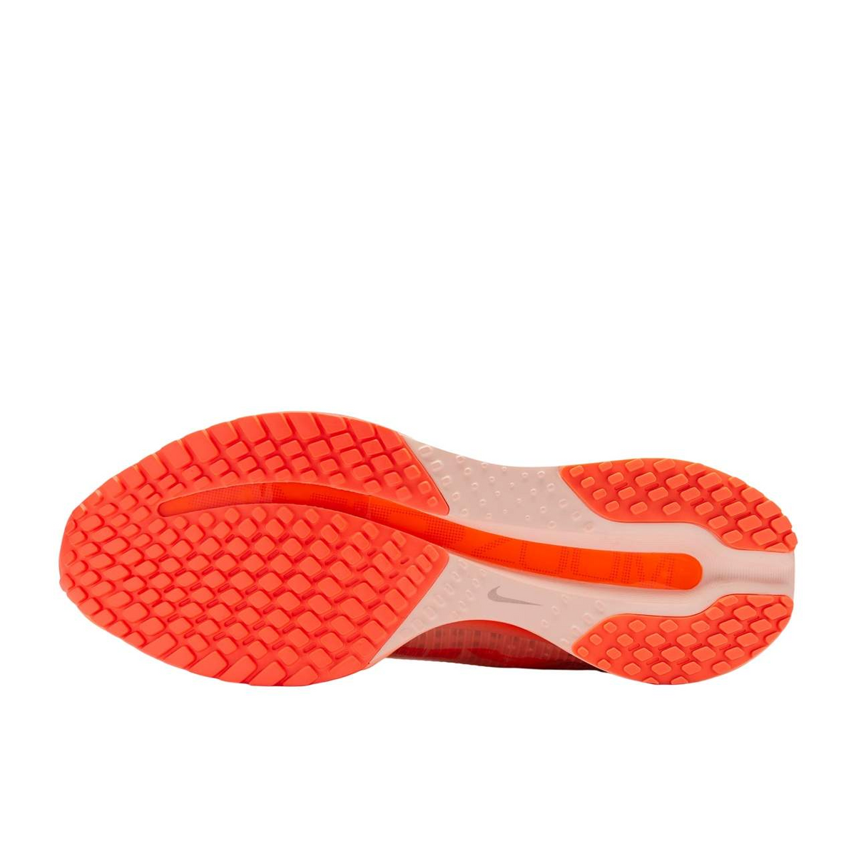 Nike Pegasus Premium Washed Coral/Gridiron
