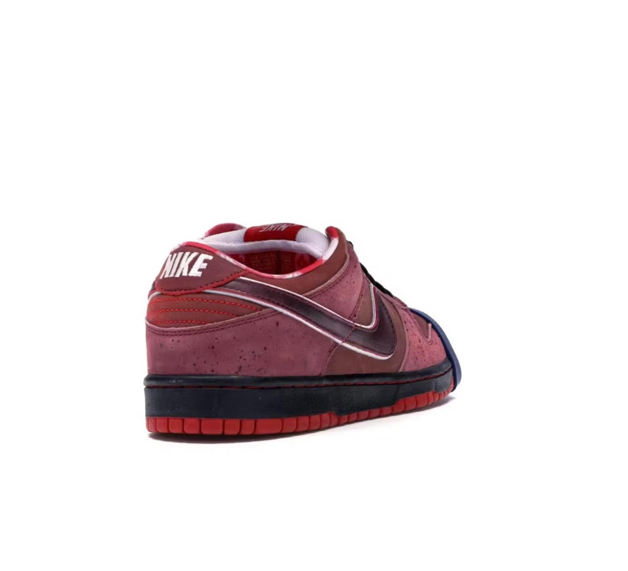 Nike SB Dunk Low Concepts Red Lobster - תמונה 3